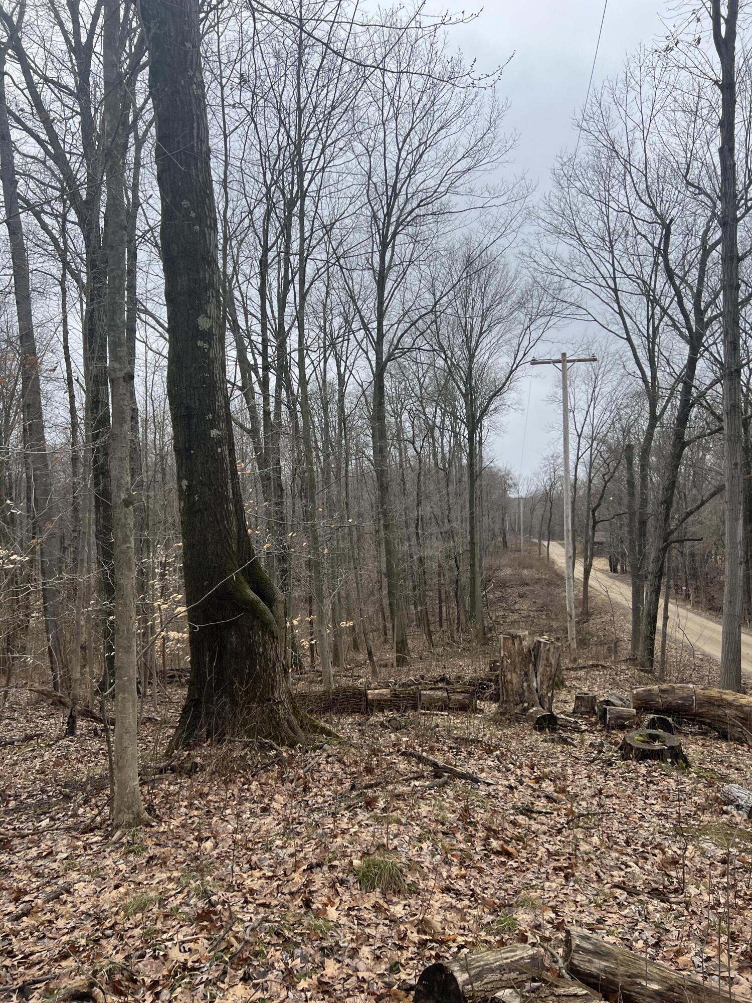 14th Street VL 19.81 Acres