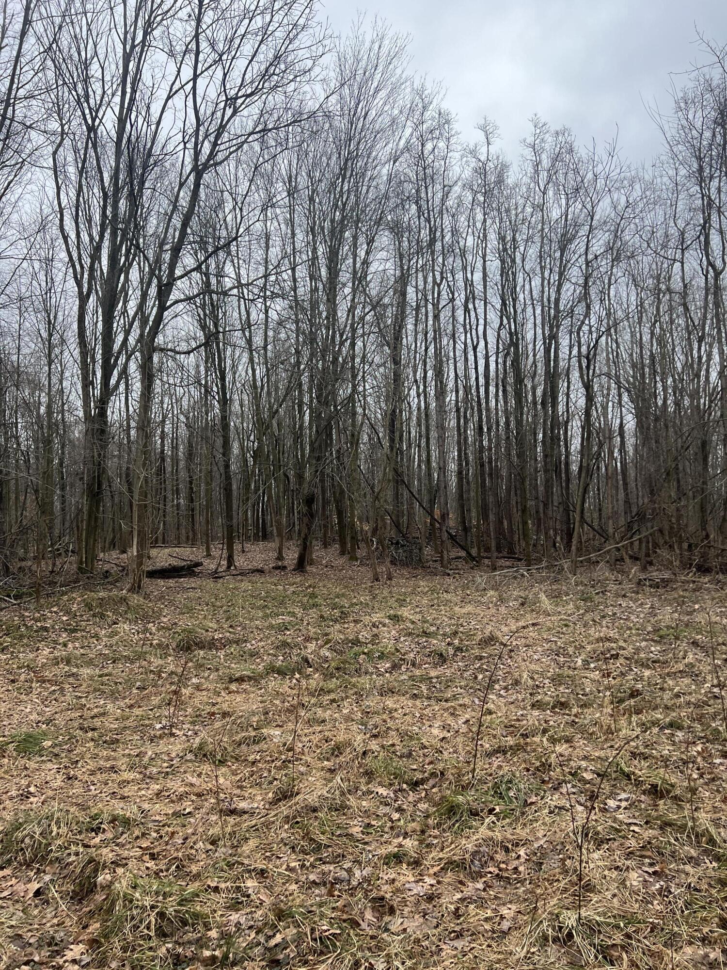 14th Street VL 19.81 Acres