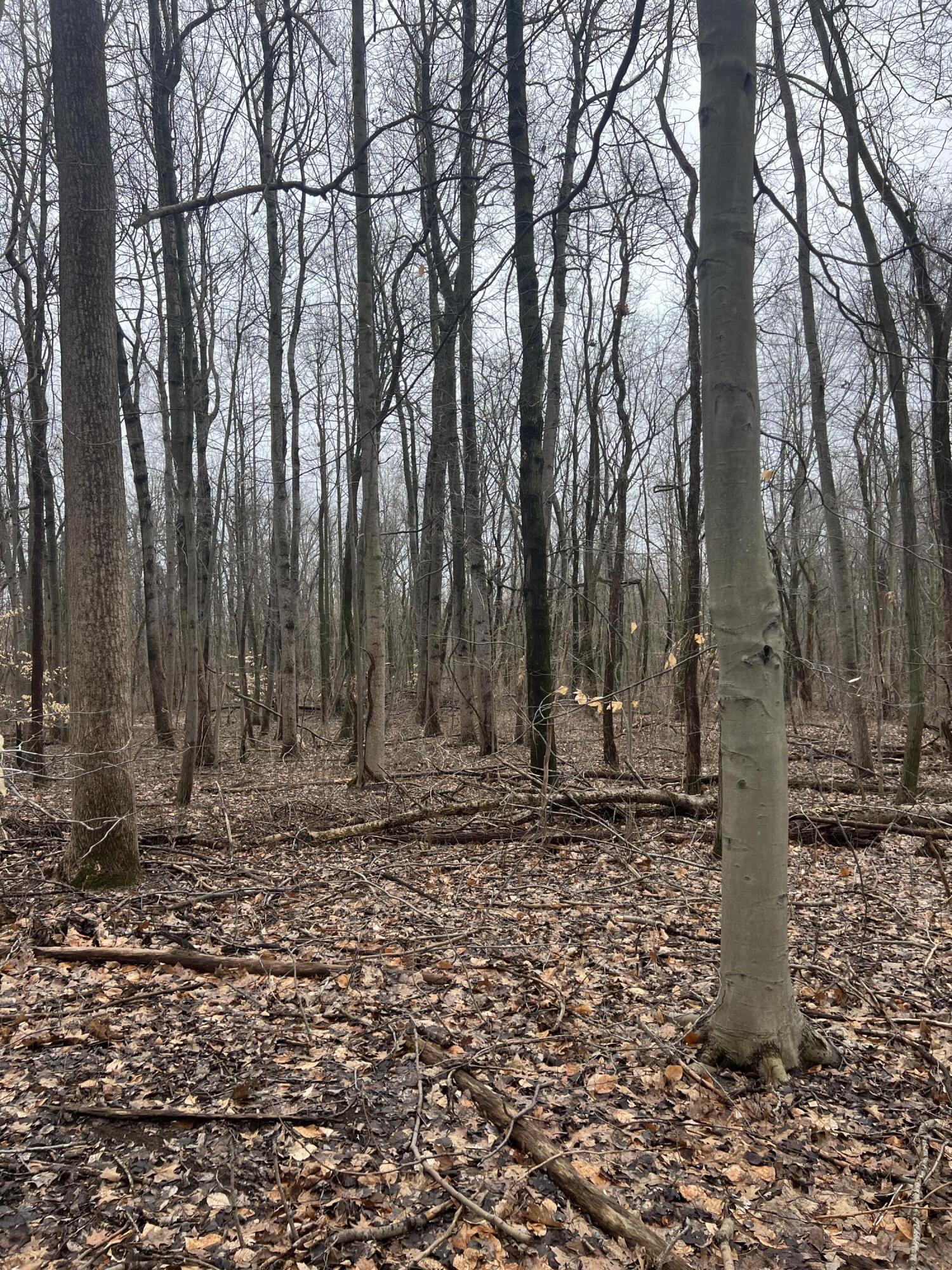 14th Street VL 19.81 Acres