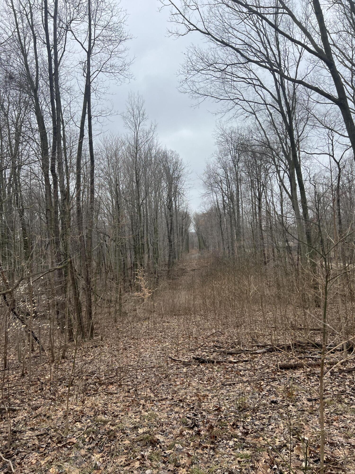 14th Street VL 19.81 Acres