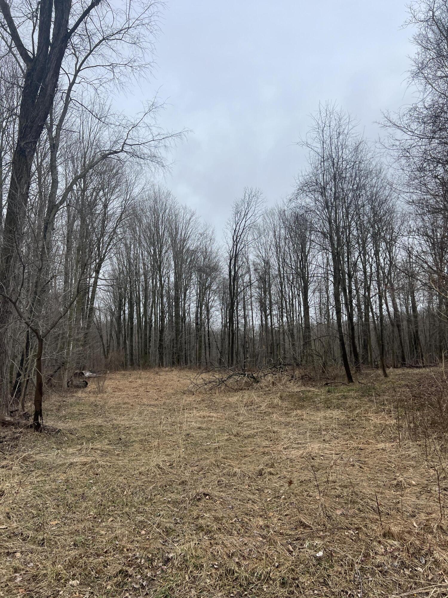 14th Street VL 19.81 Acres