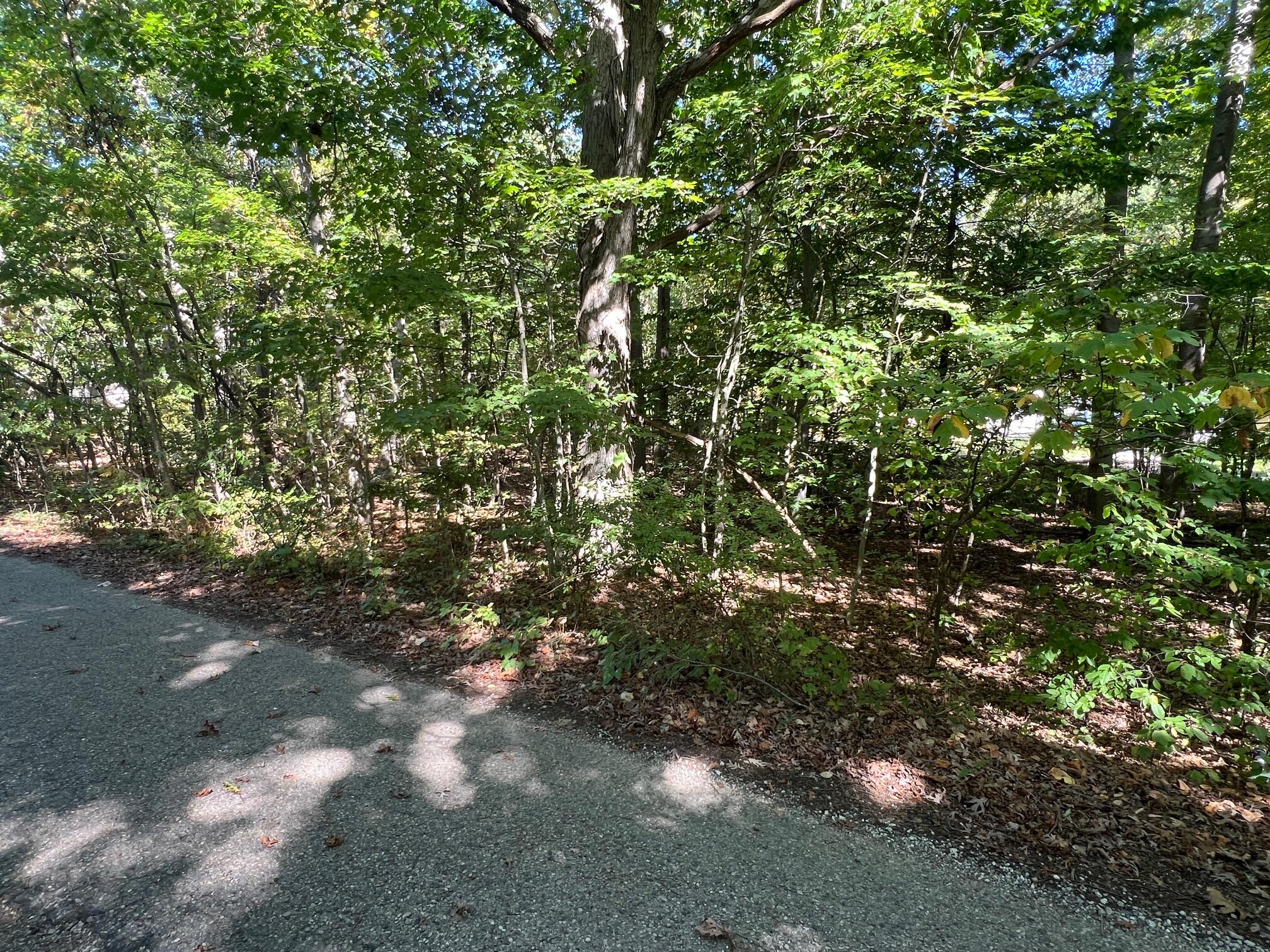 000 VL Lake Dr lot 174/175