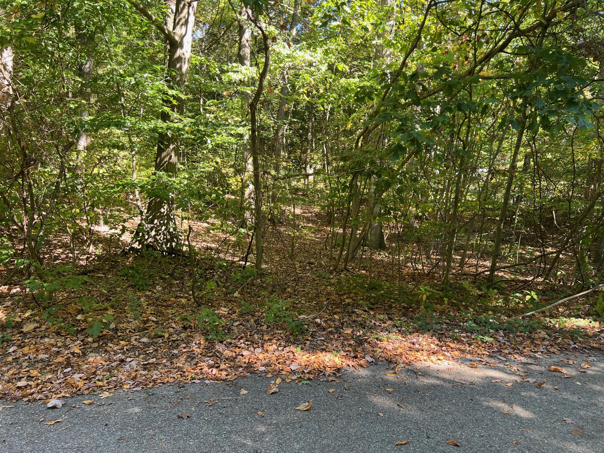 000 VL Lake Dr lot 174/175