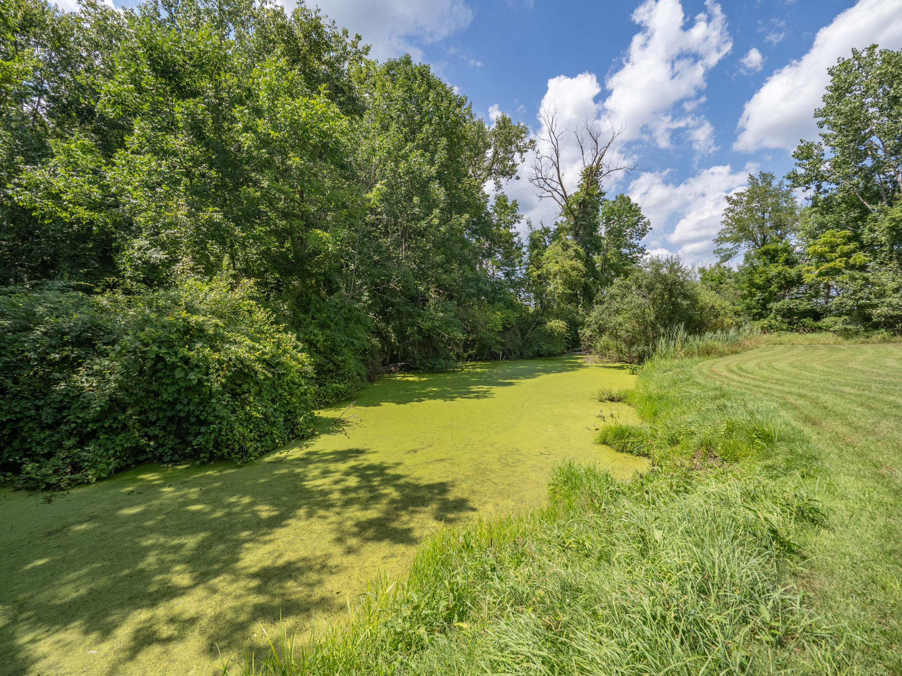 48316 County Road 384