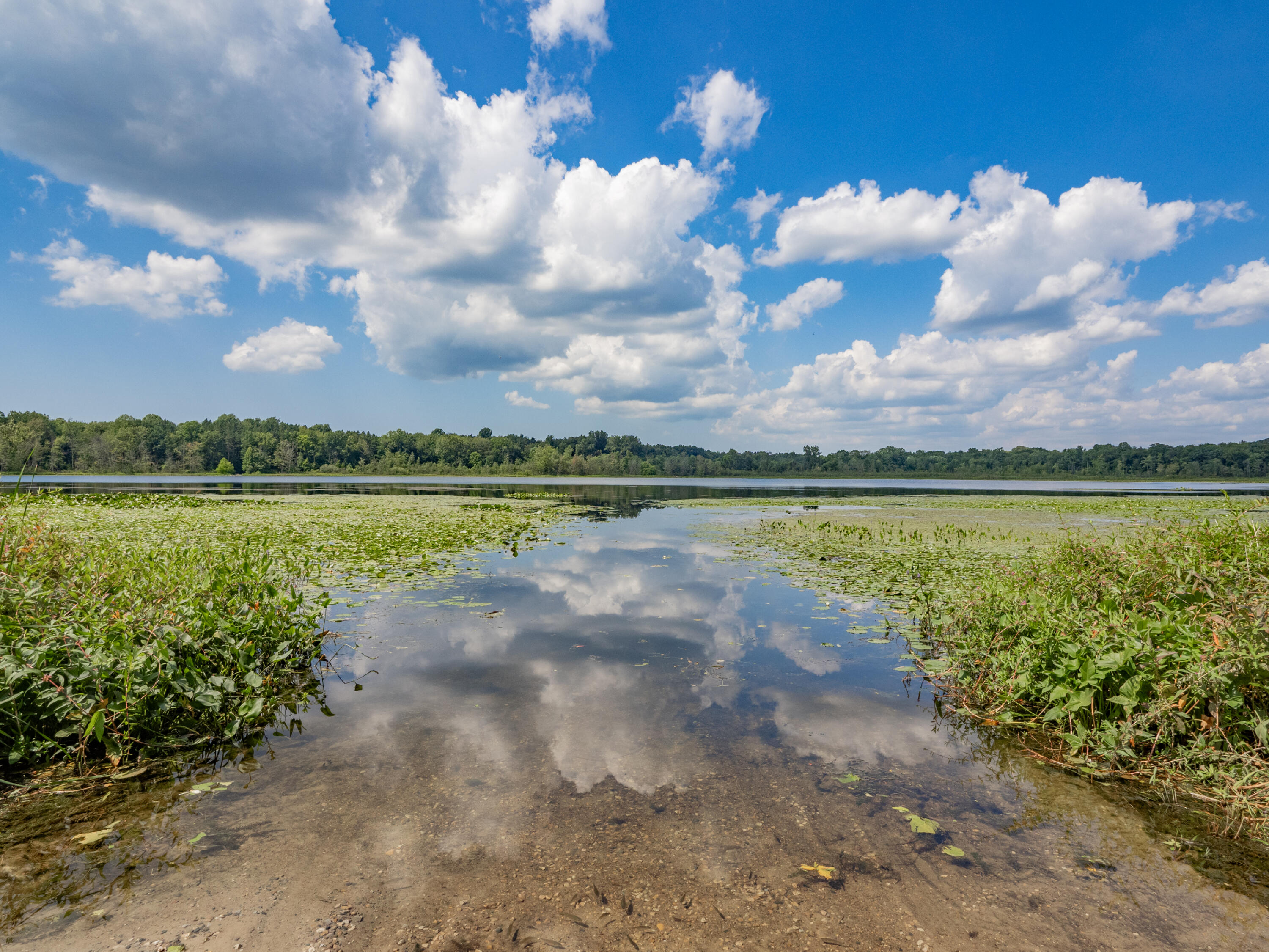 48316 County Road 384