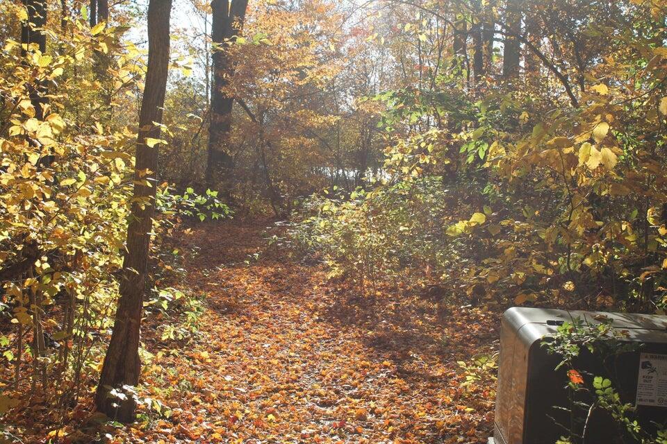 VL Lake Drive Lot 174/175