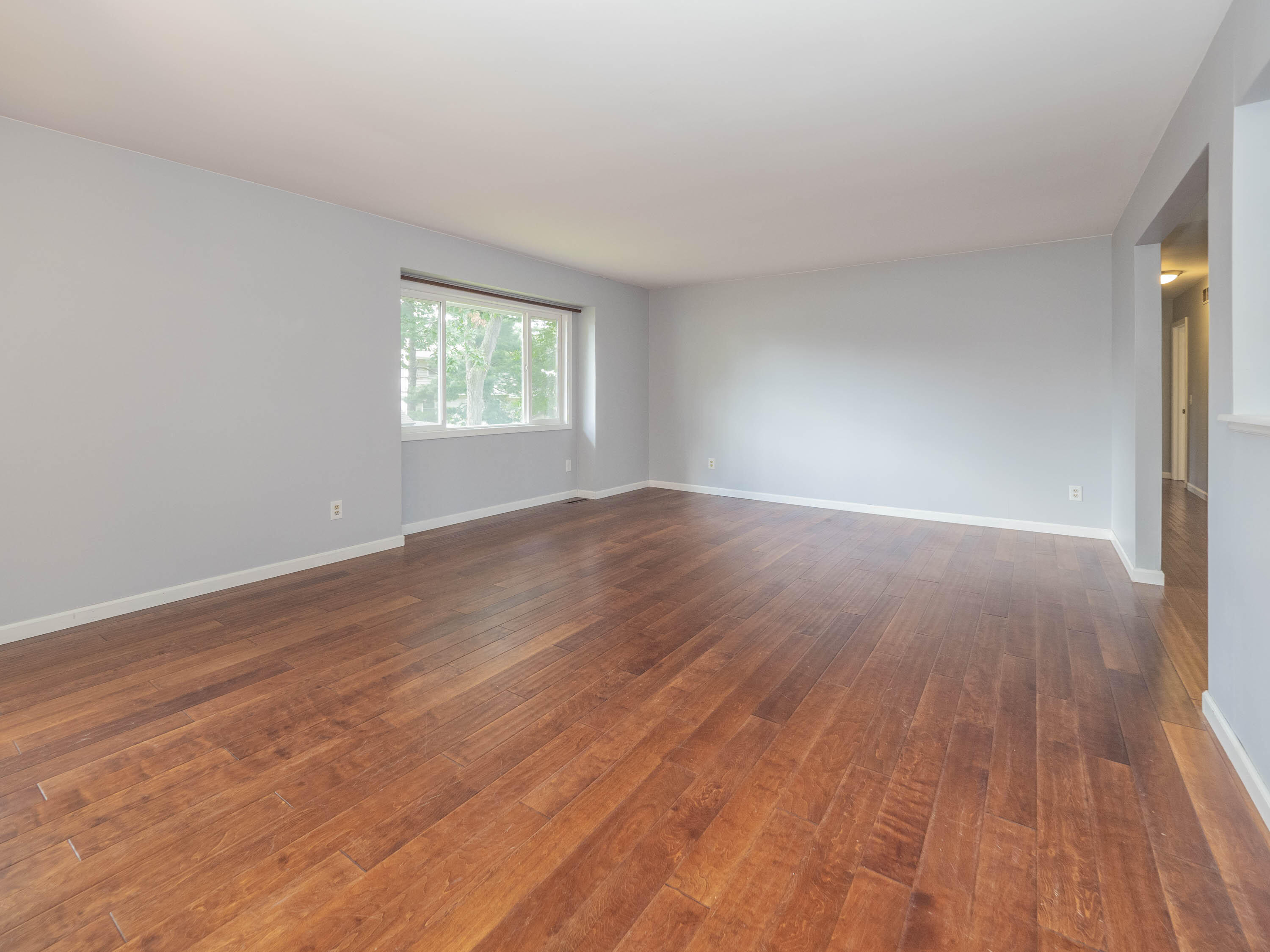 3125 Coachlite Avenue