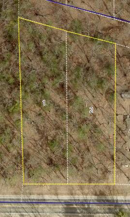 Monroe Vacant Land 2 Parcels Road