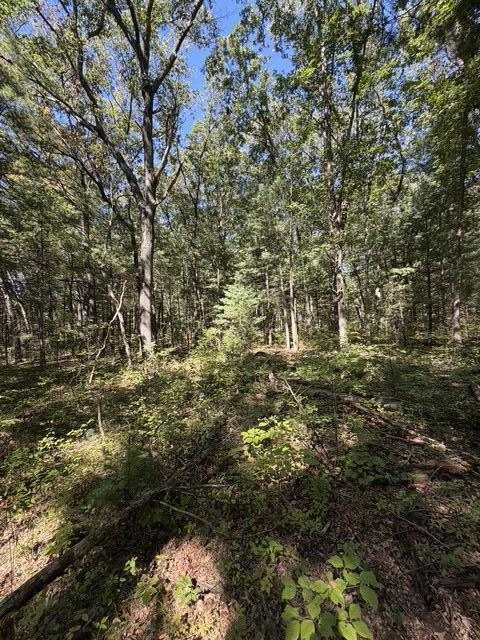Monroe Vacant Land 2 Parcels Road