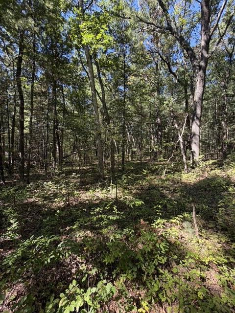 Monroe Vacant Land 2 Parcels Road