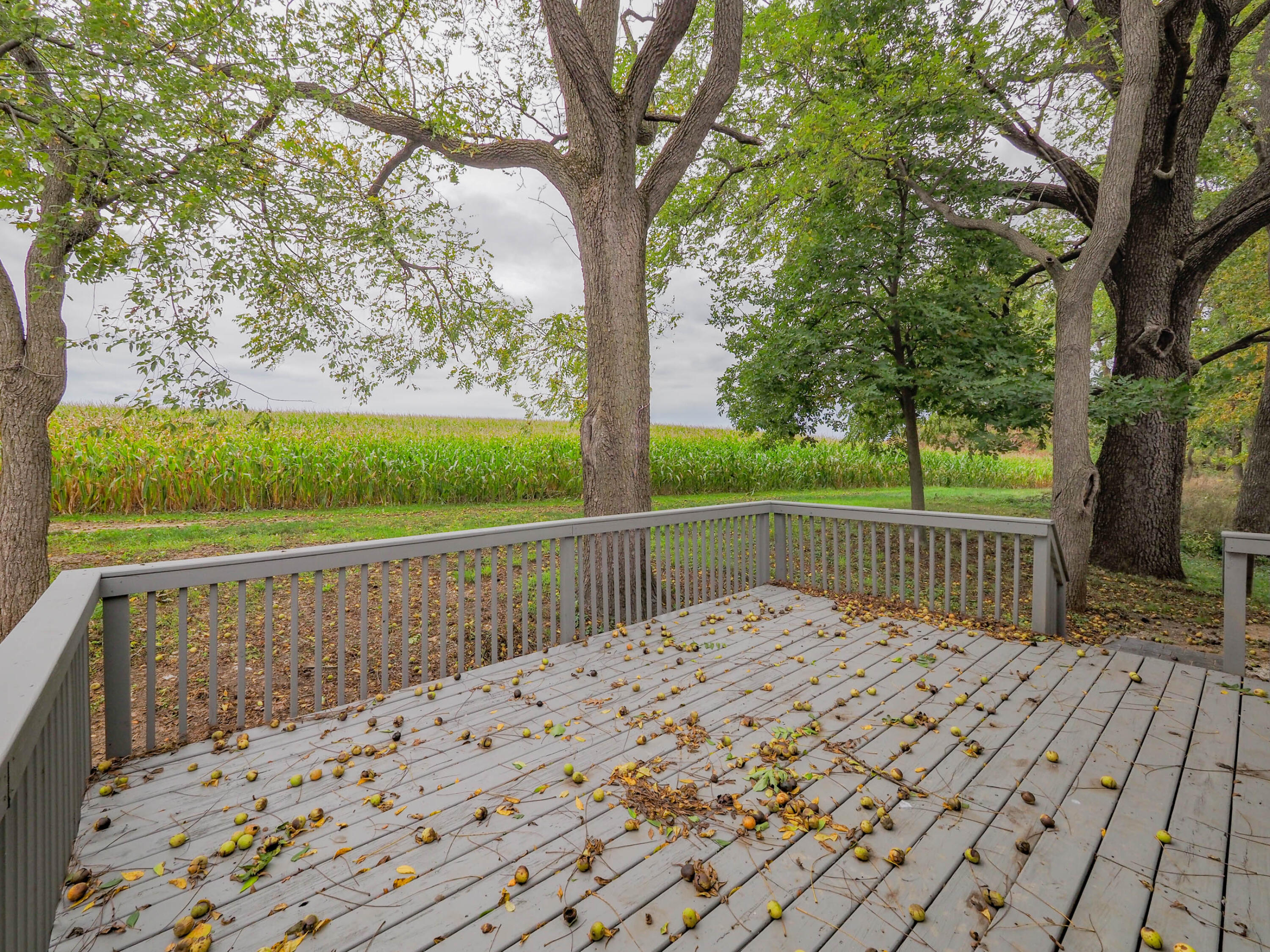 65484 Parkwood Court