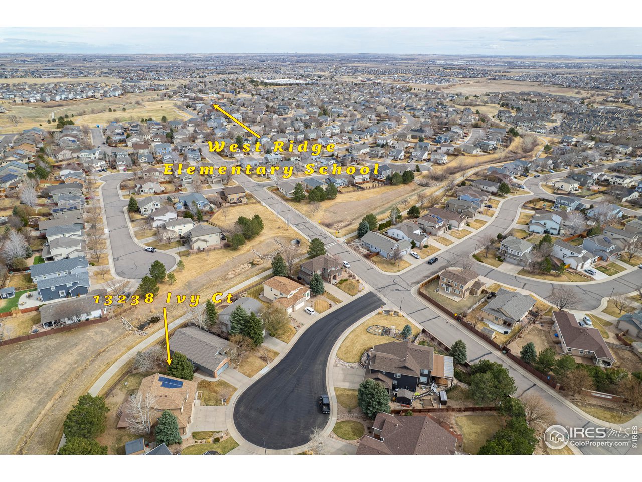 13238 Ivy Ct