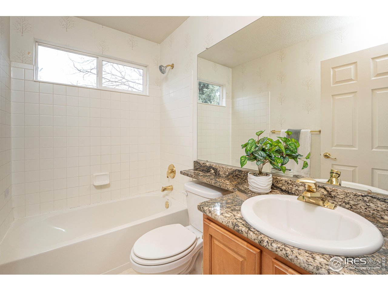 13238 Ivy Ct