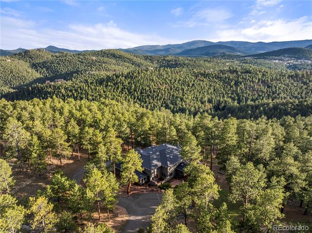 28890 Pinewood Vista Drive