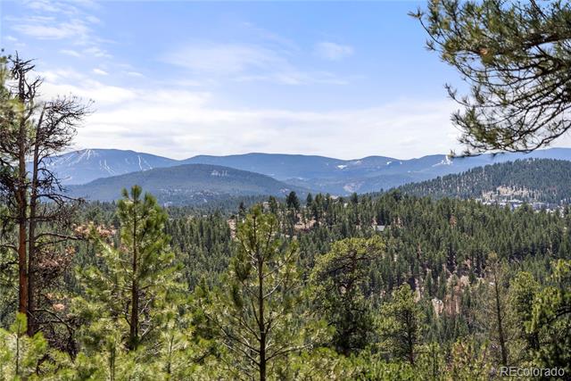 28890 Pinewood Vista Drive