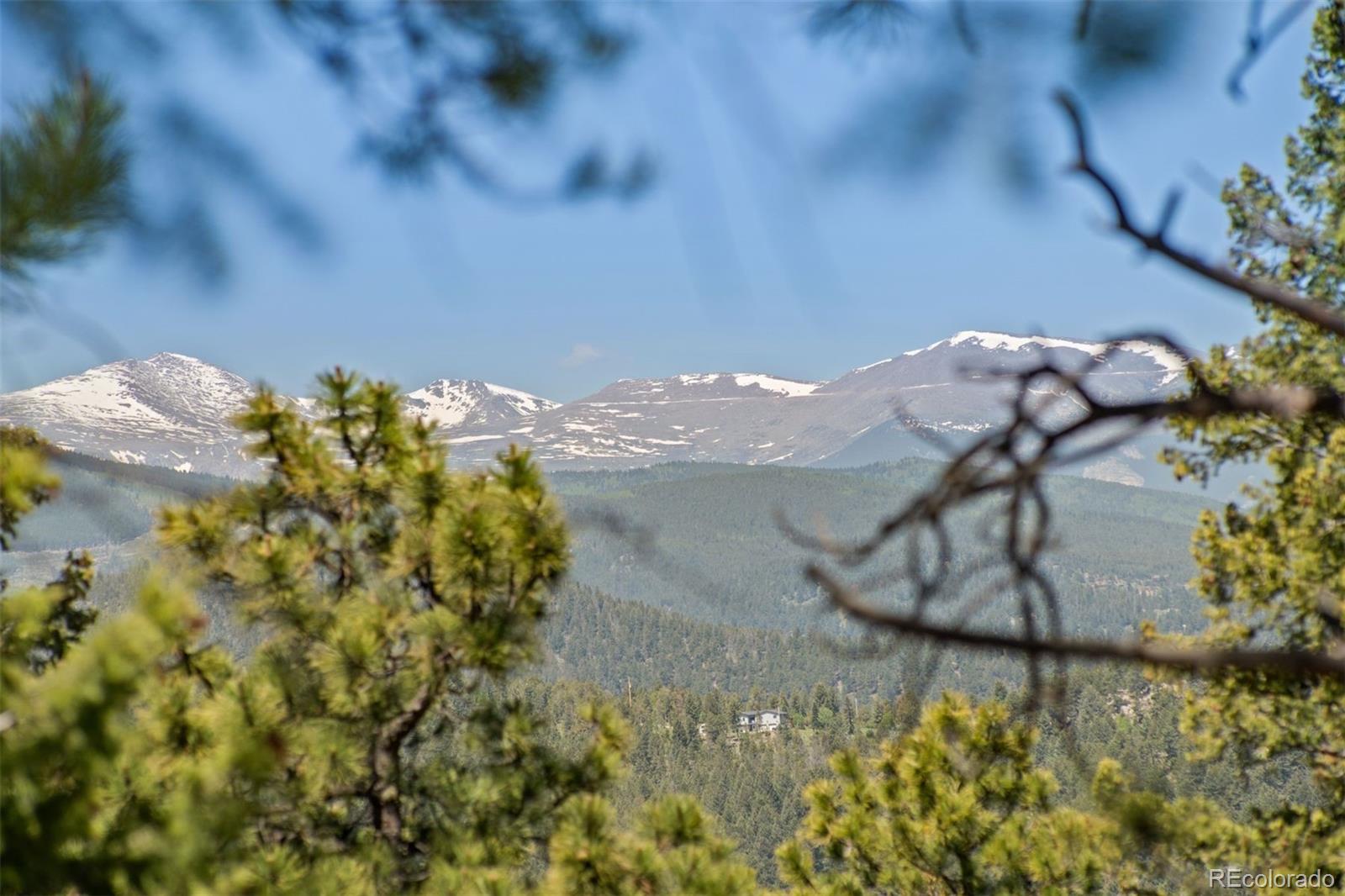 7845 Armadillo Trail