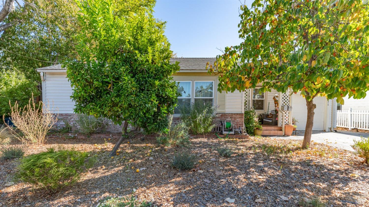 1816 Arbor Ave