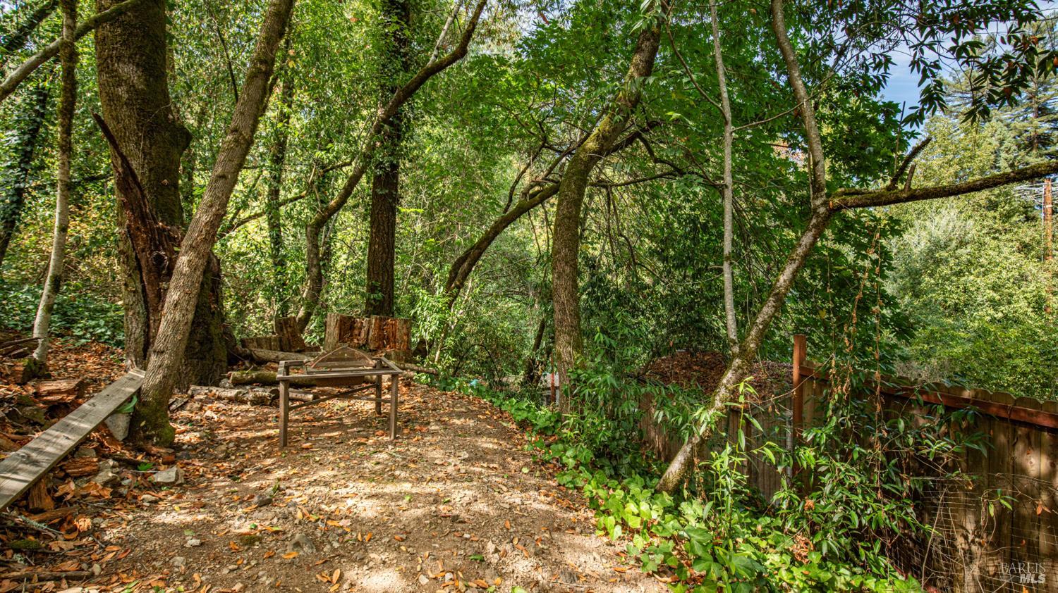 Wooded backyard with mature trees, a rustic table, and a wooden fence.