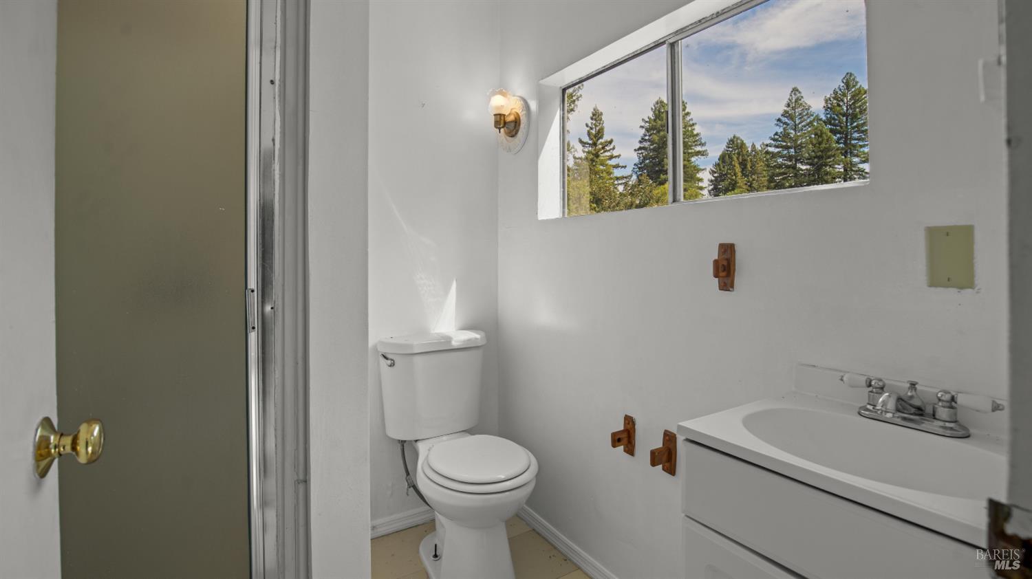 Bathroom with a white toilet and vanity beneath a high window overlooking pine trees.