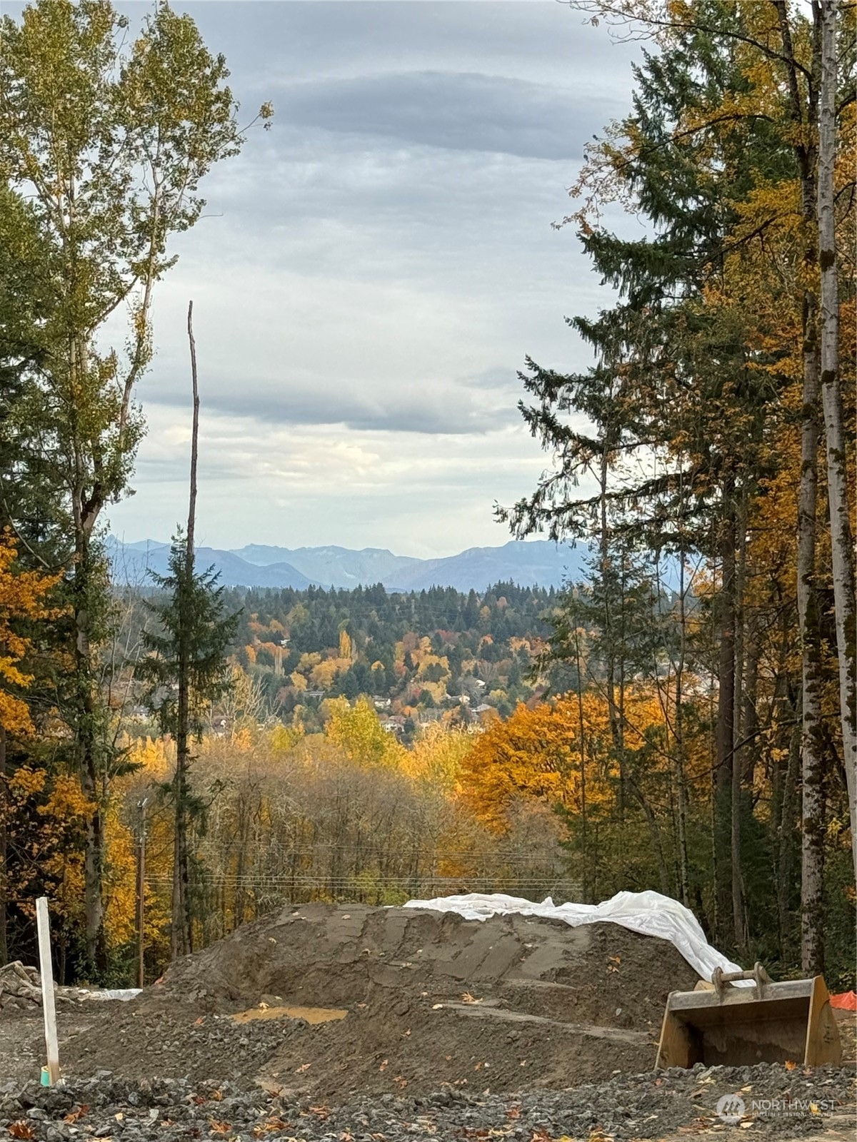 11131 134th (Homesite 18) Court NE