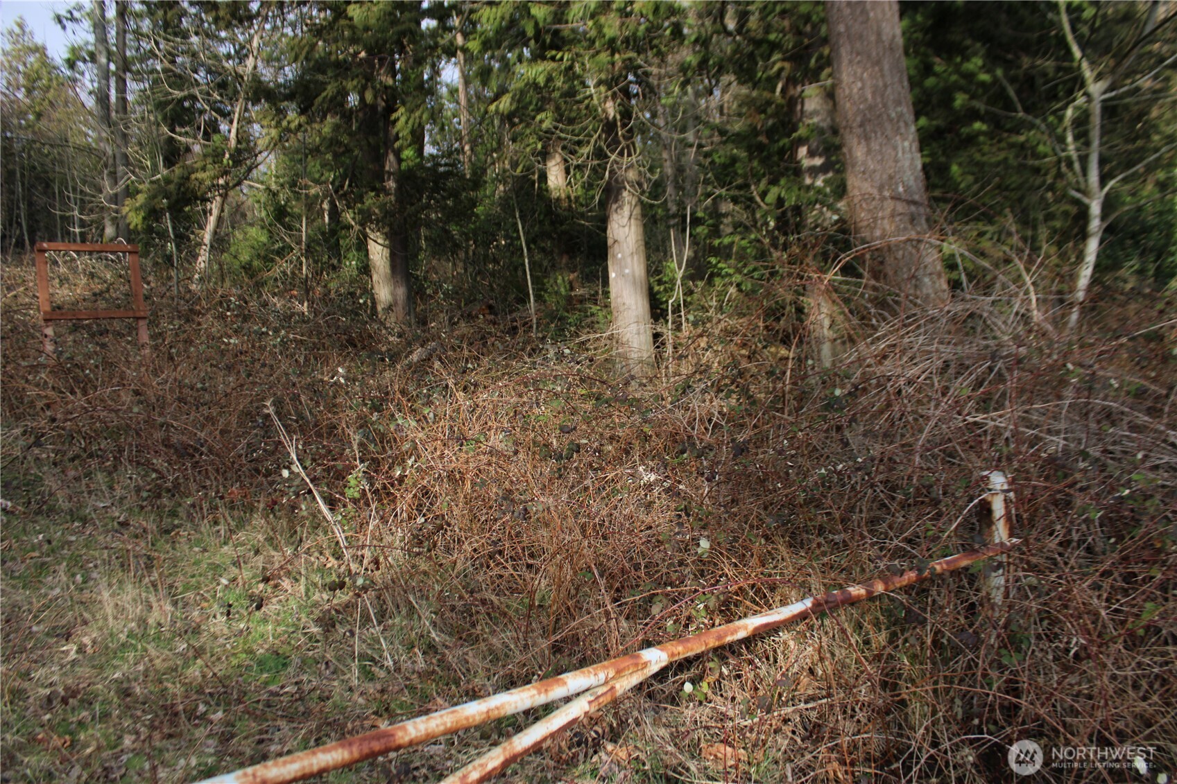 1 Semiahmoo Parkway