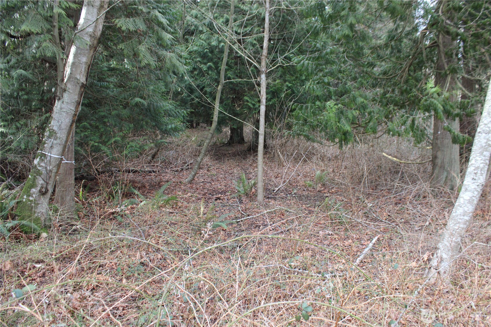 1 Semiahmoo Parkway