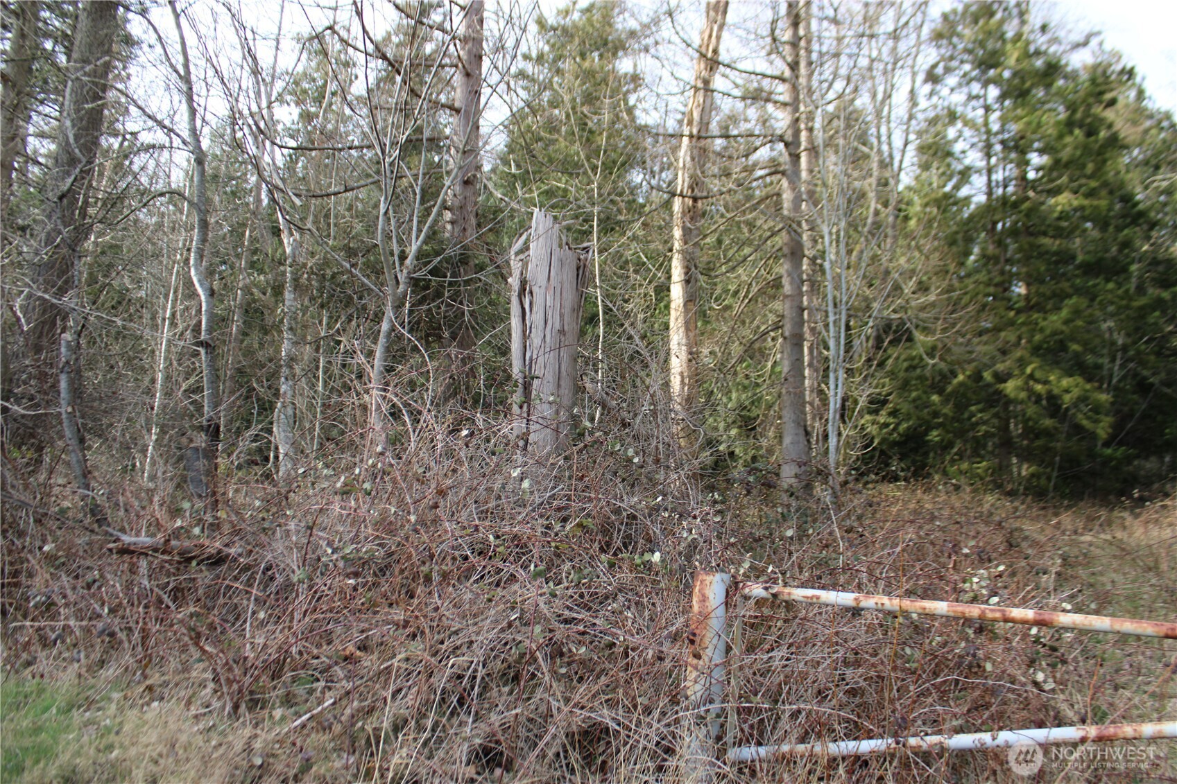 1 Semiahmoo Parkway