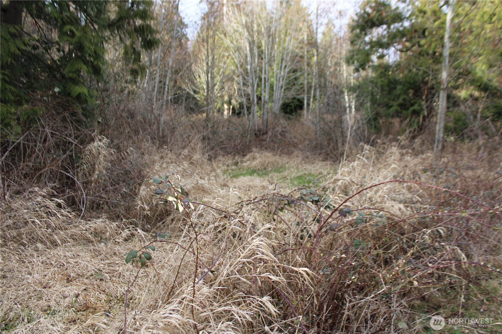 1 Semiahmoo Parkway