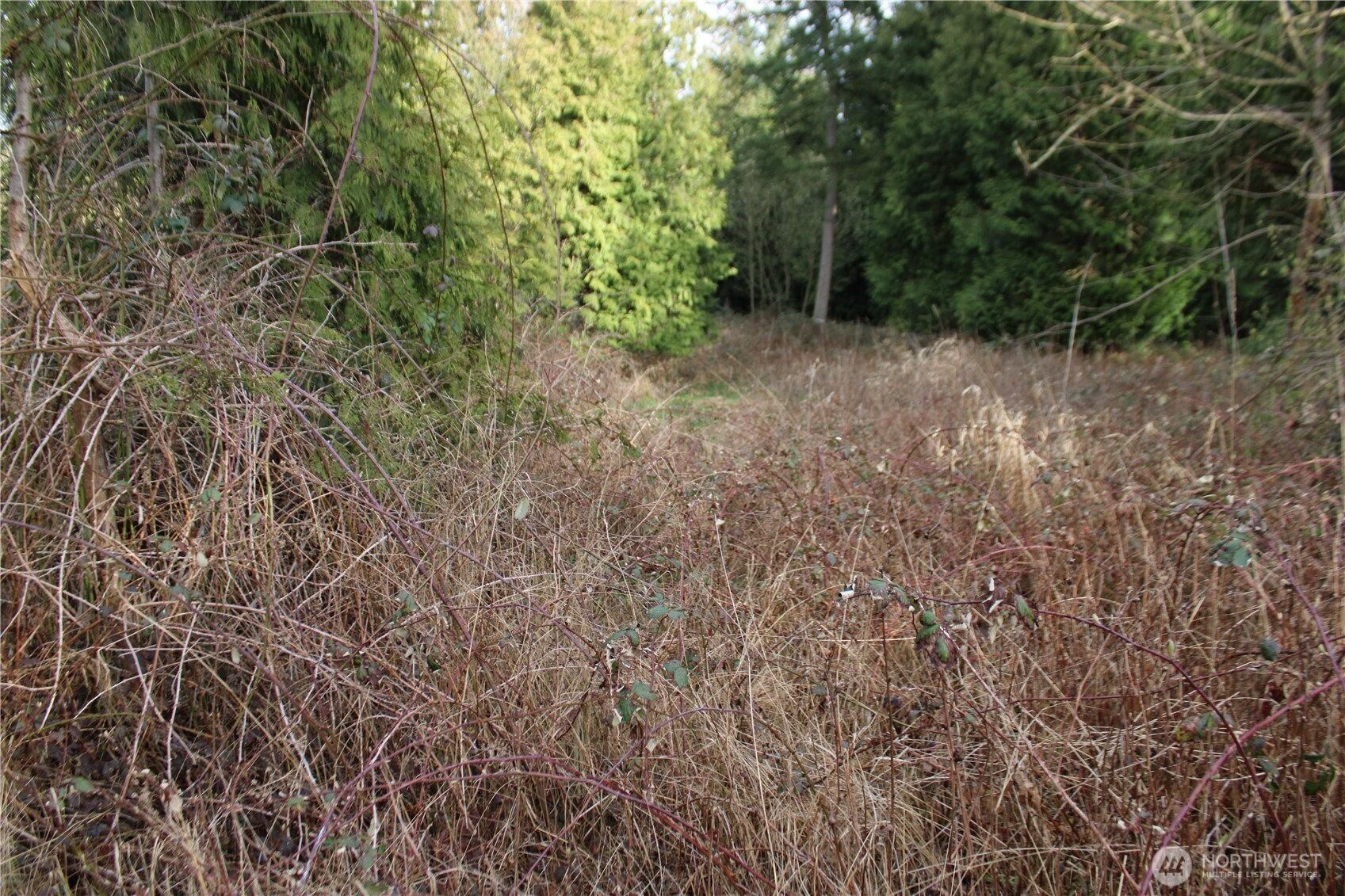 1 Semiahmoo Parkway