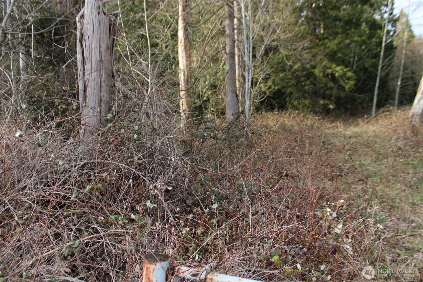 1 Semiahmoo Parkway