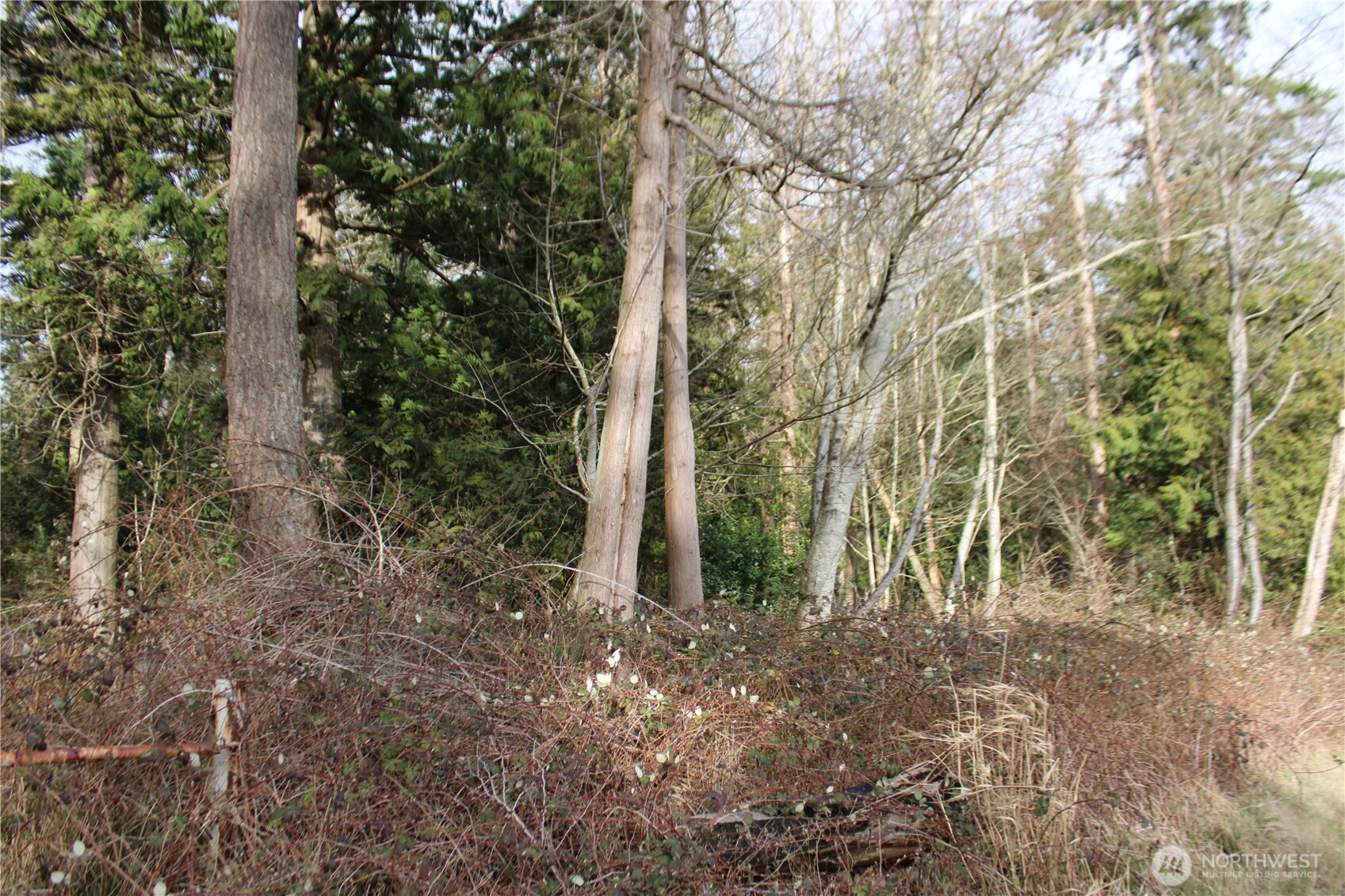 1 Semiahmoo Parkway