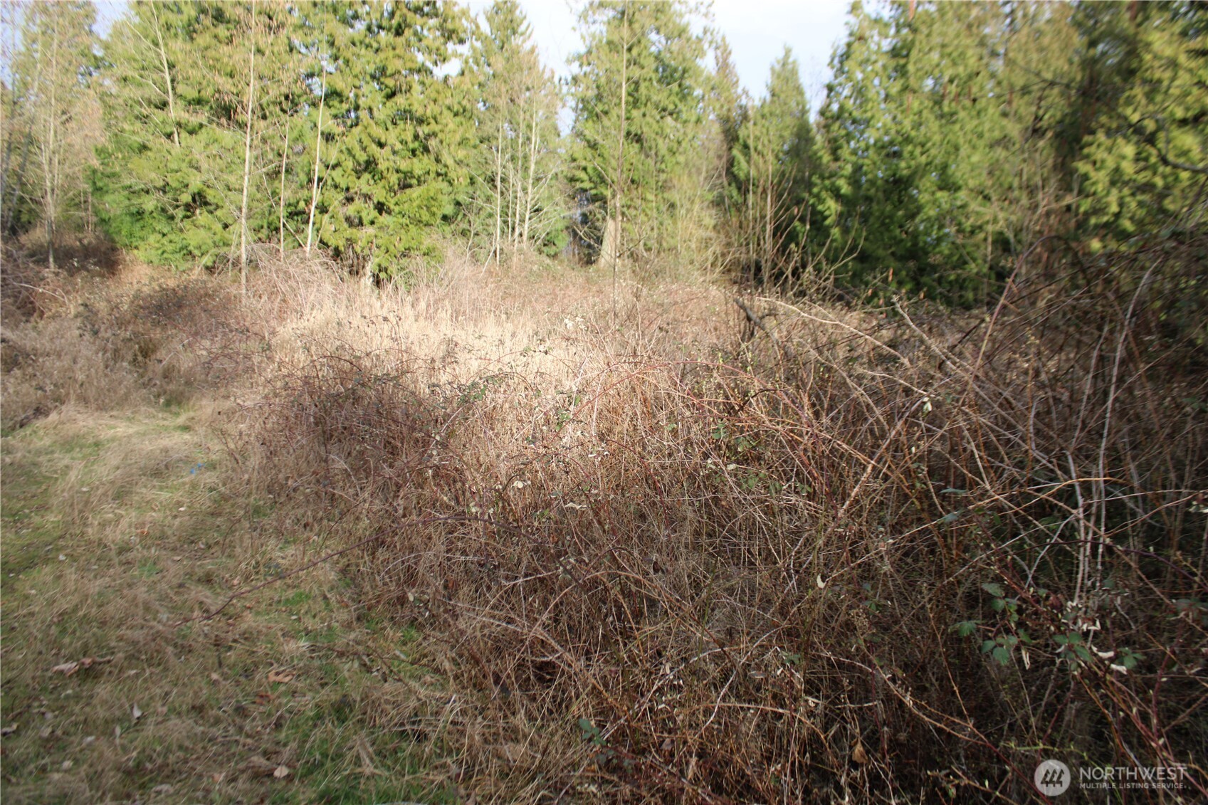 1 Semiahmoo Parkway