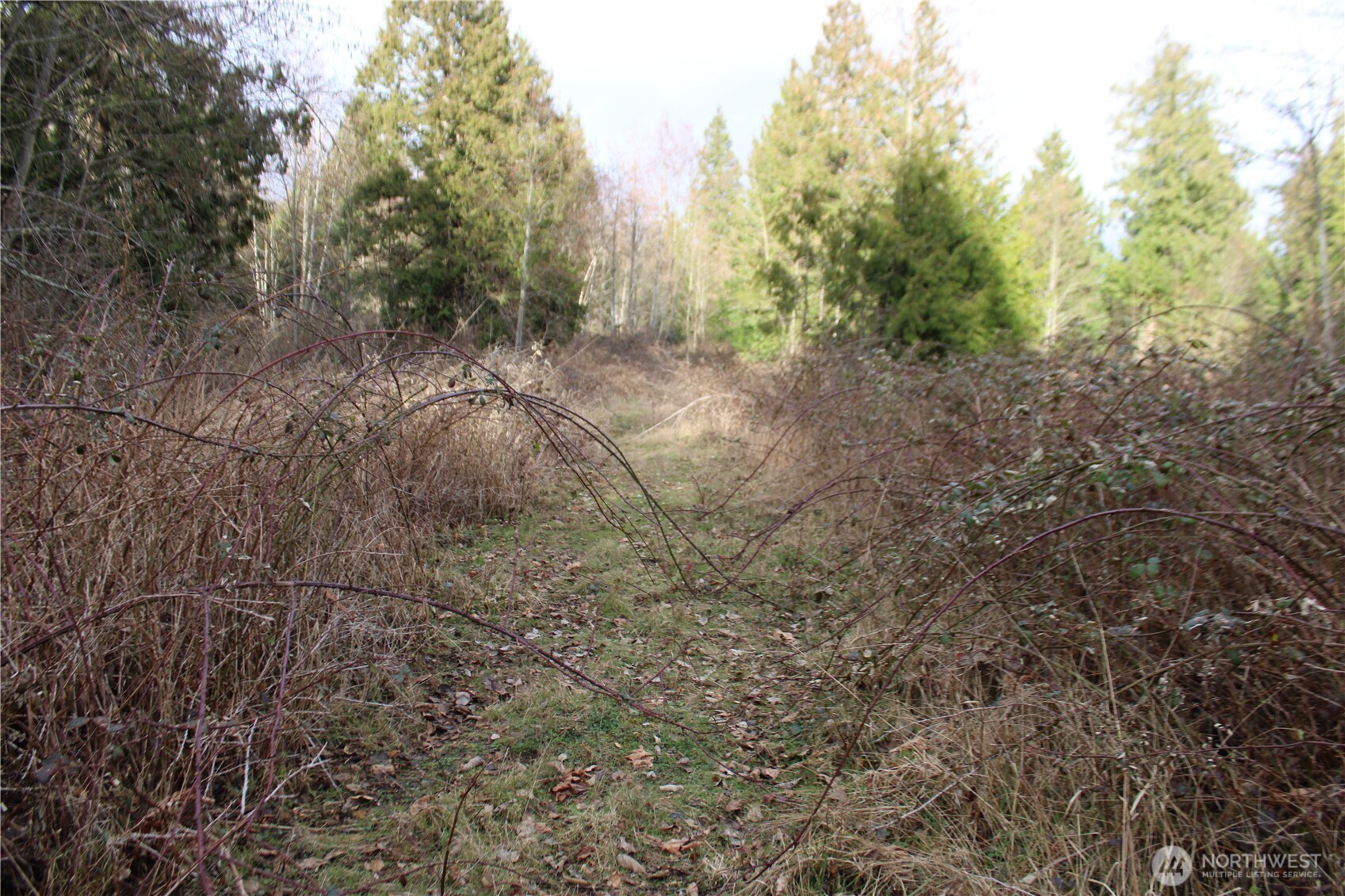 1 Semiahmoo Parkway