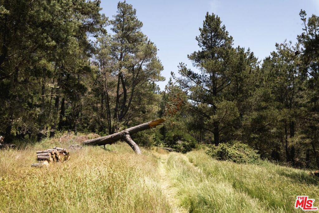 7292 Exotic Garden Drive