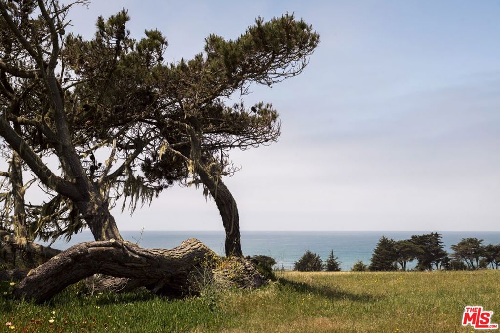 7292 Exotic Garden Drive