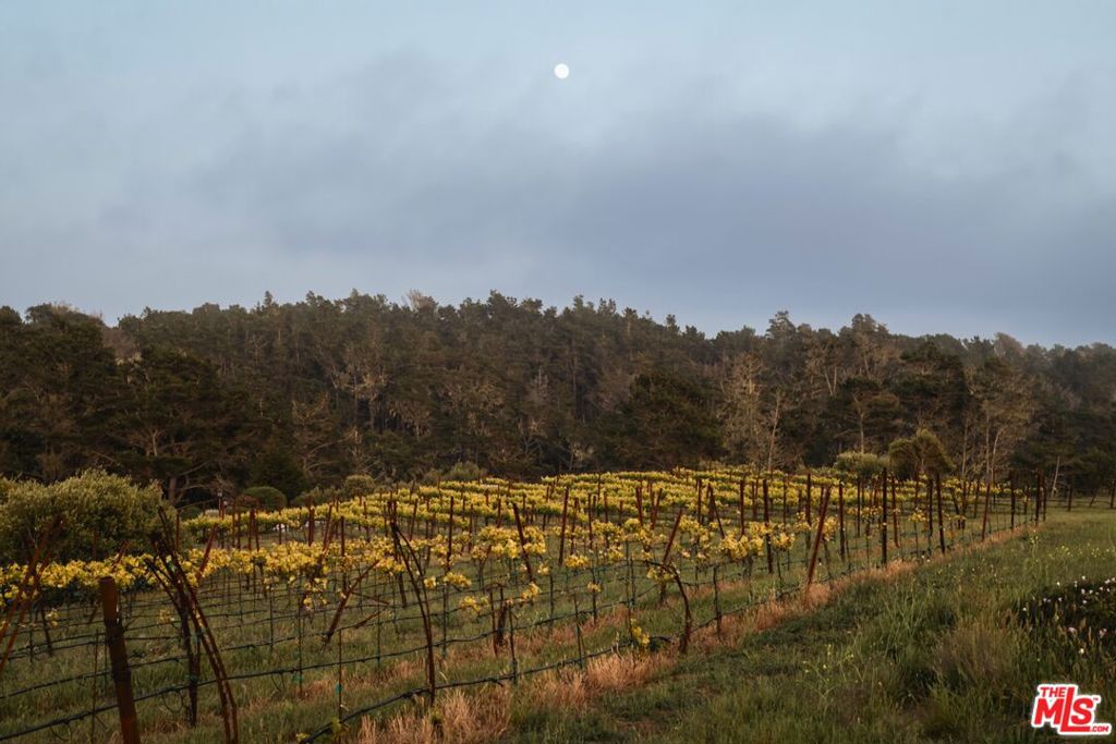 7292 Exotic Garden Drive