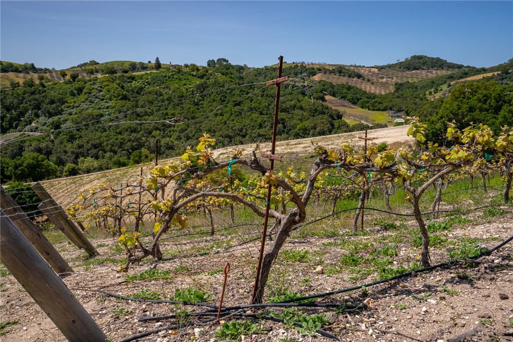 4180 Peachy Canyon Road