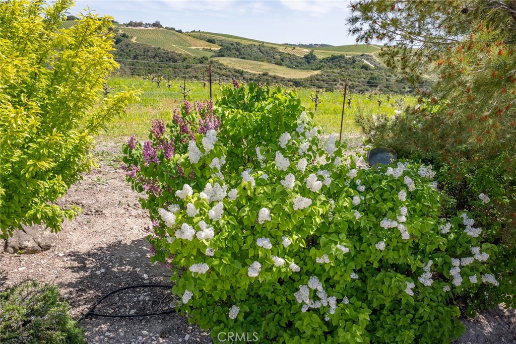 4180 Peachy Canyon Road