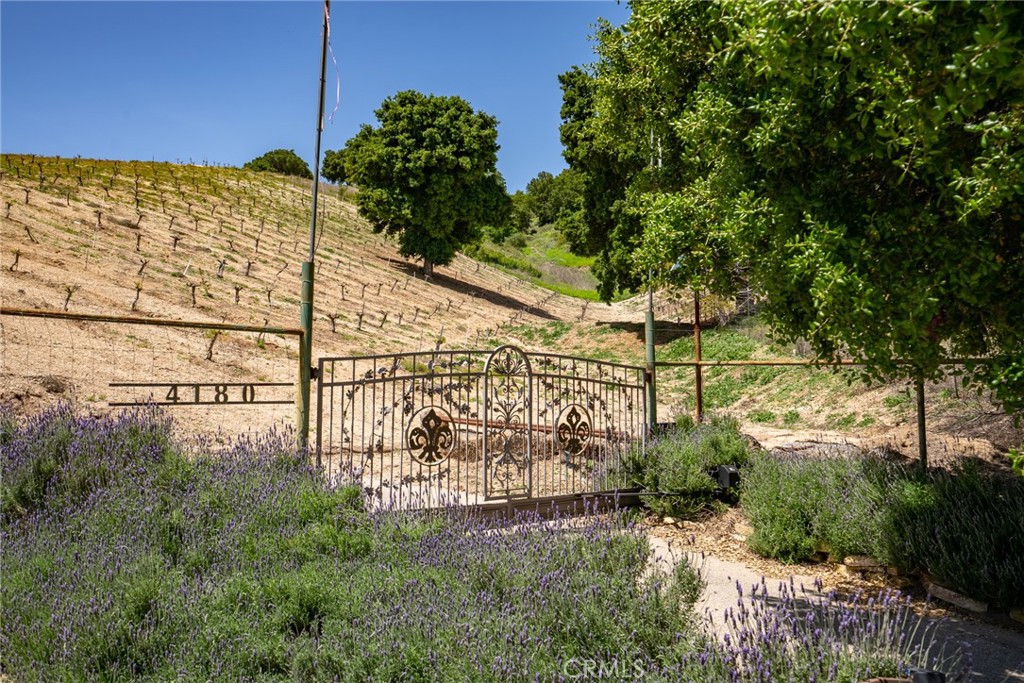 4180 Peachy Canyon Road