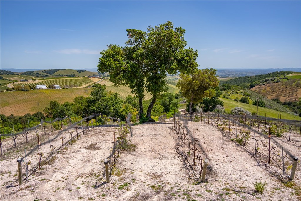 4180 Peachy Canyon Road