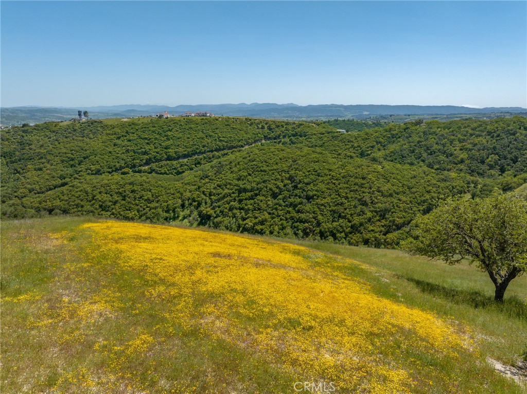 0 Mountain Springs Road