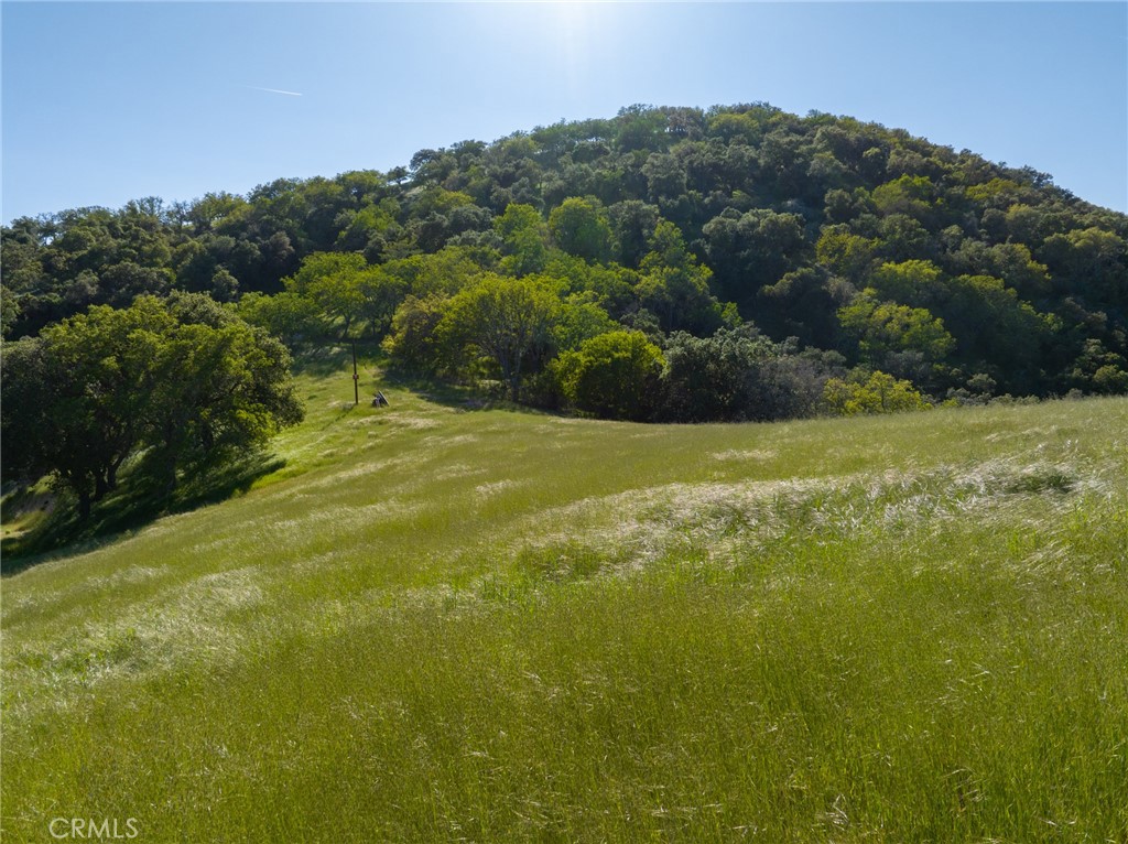 0 Mountain Springs Road