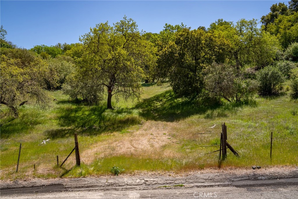 0 Mountain Springs Road