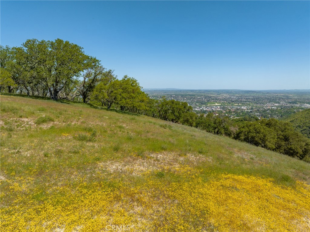 0 Mountain Springs Road