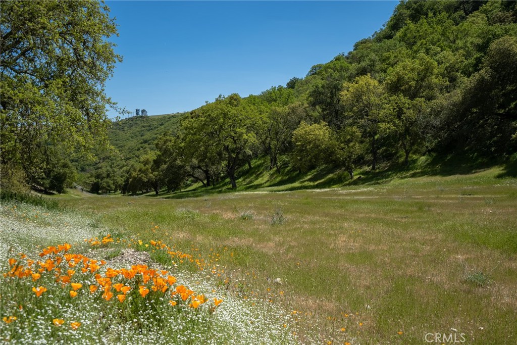 0 Mountain Springs Road