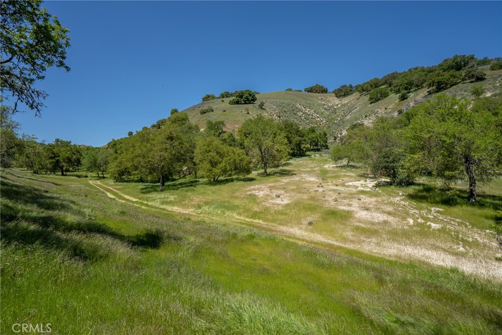 0 Mountain Springs Road