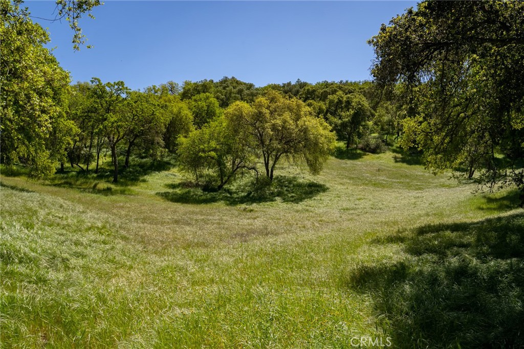 0 Mountain Springs Road