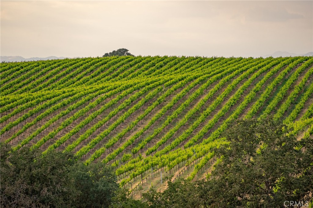 5155 Stagg Hill Place