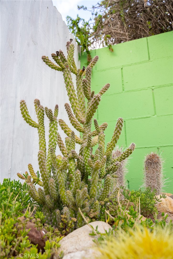 5155 Stagg Hill Place