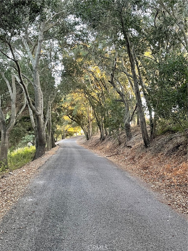 325 Los Robles Road 1